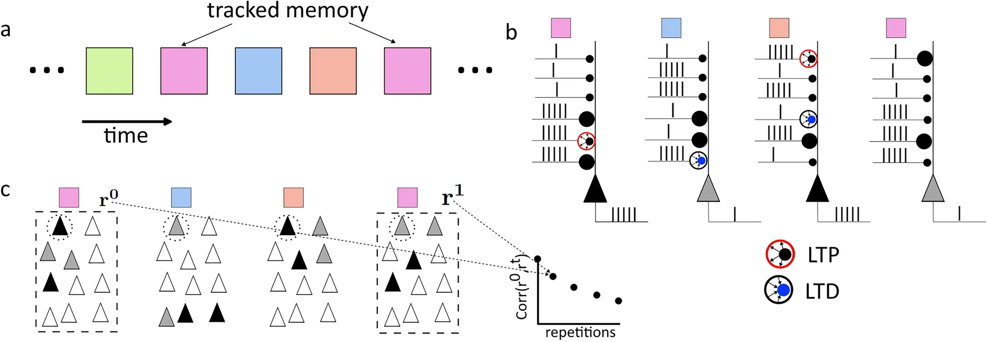Representational drift as the consequence of ongoing memory storage ...